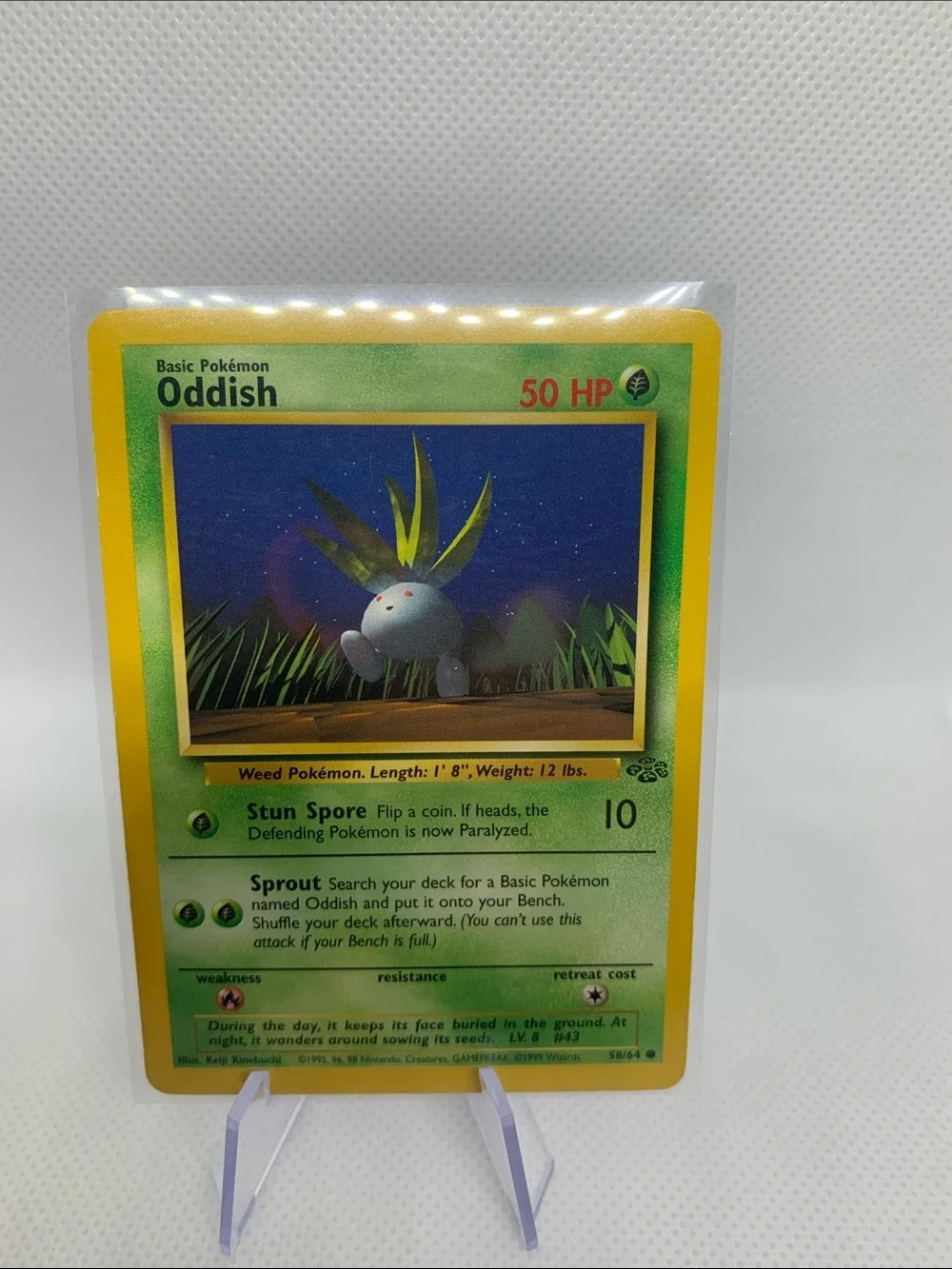Pokémon TCG Vintage Original 1999 Base Set Card Lot Perfect Condition!!